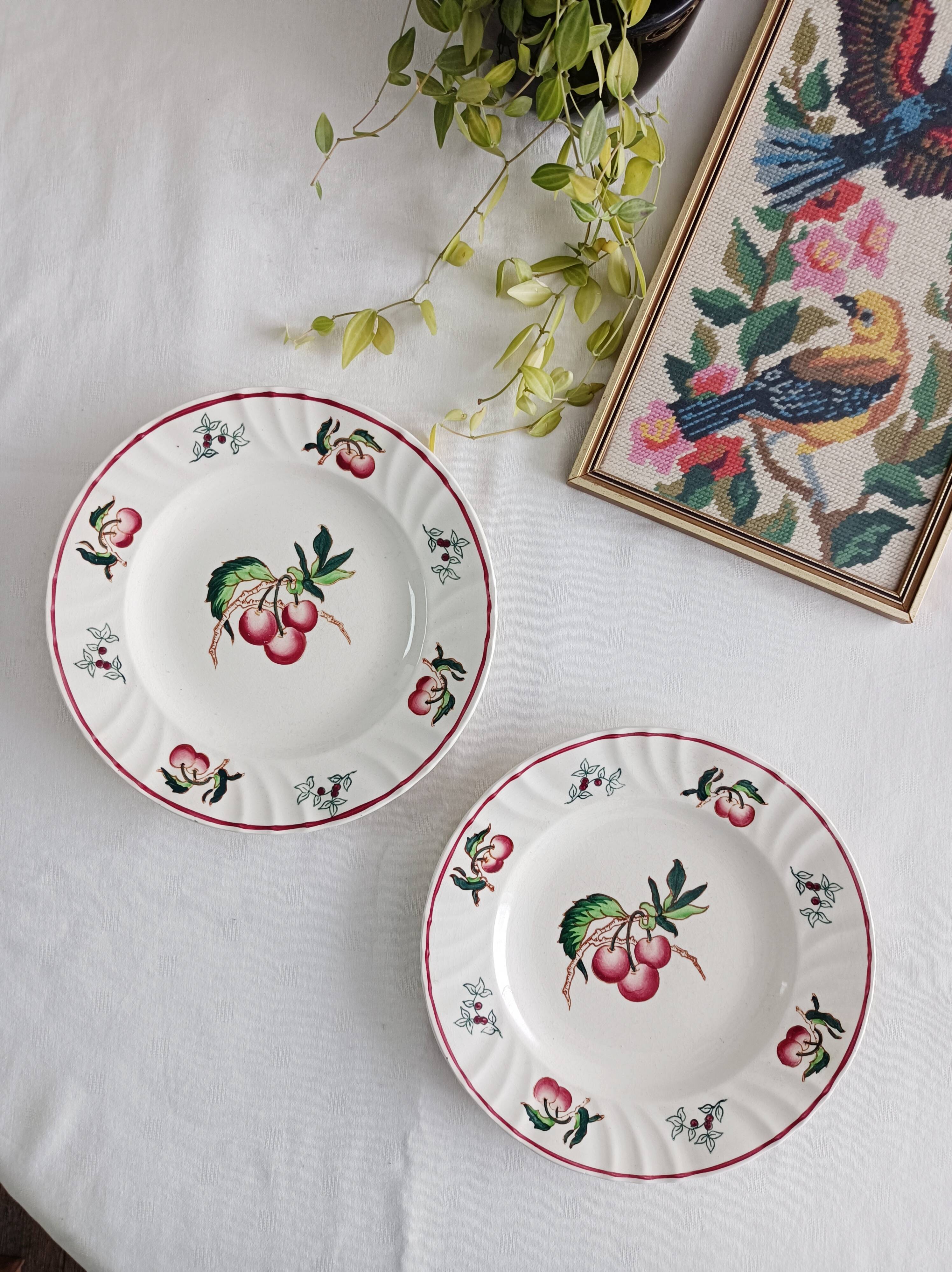 Set of 2 Longwy Montmorency flat plates