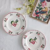 Set of 2 Longwy Montmorency flat plates