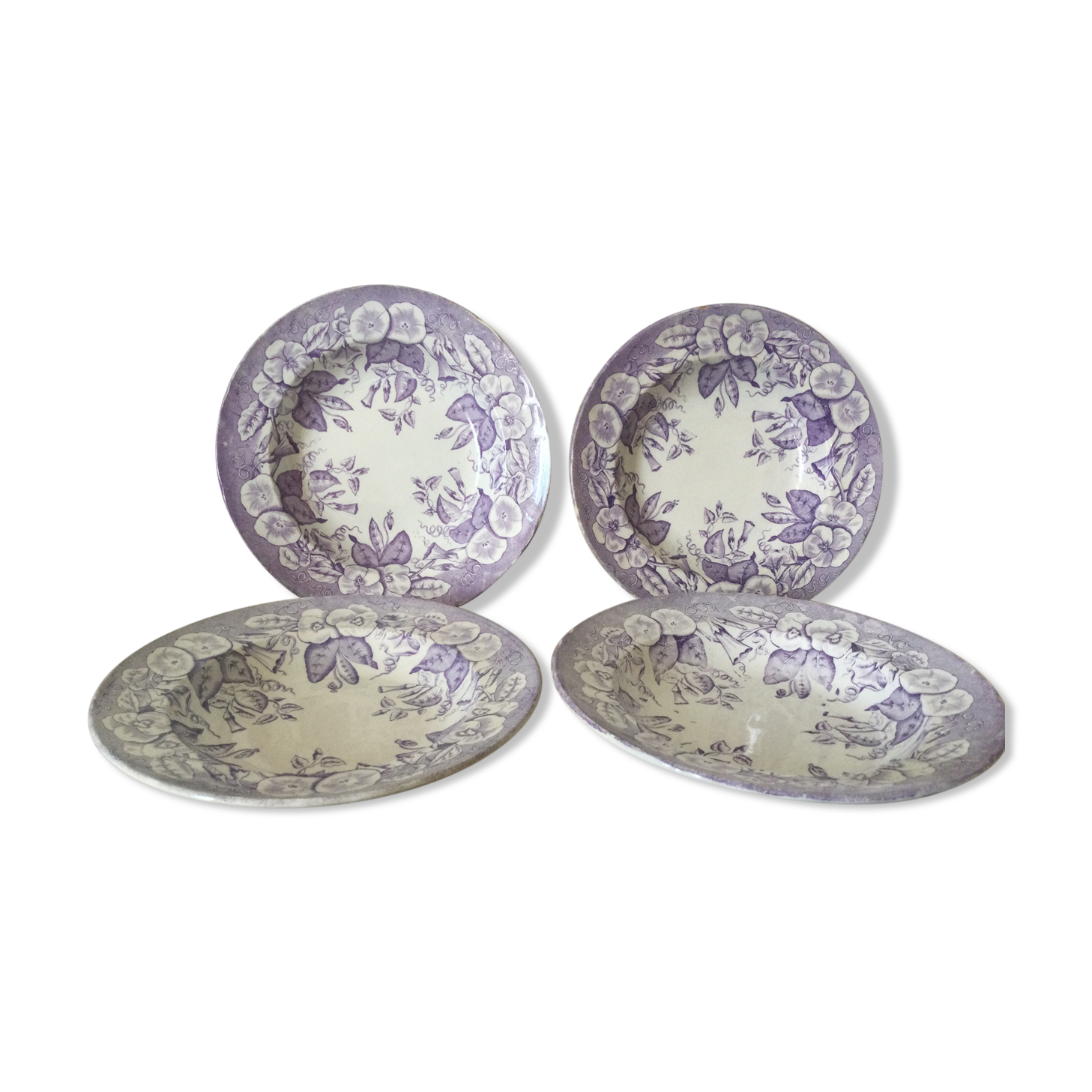 Volubilis Jules Vieillard Bordeaux model plates