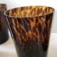 Six glasses tortoiseshells