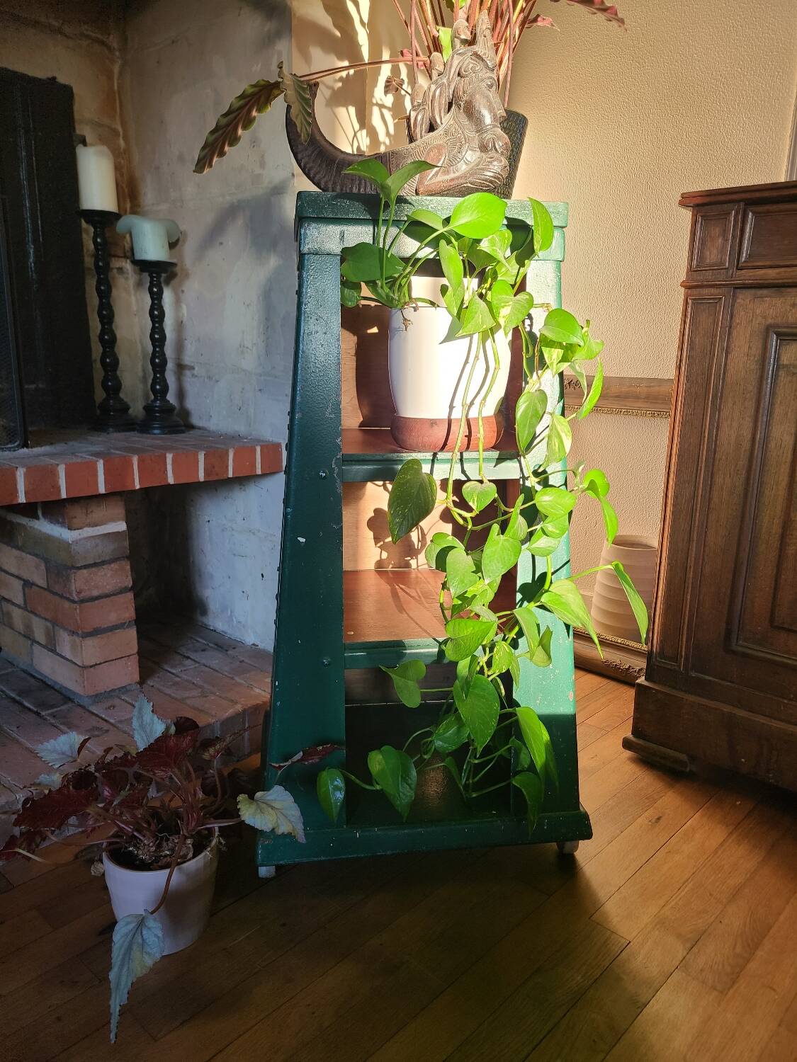 Trade furniture, vintage industrial bookcase circa 1950