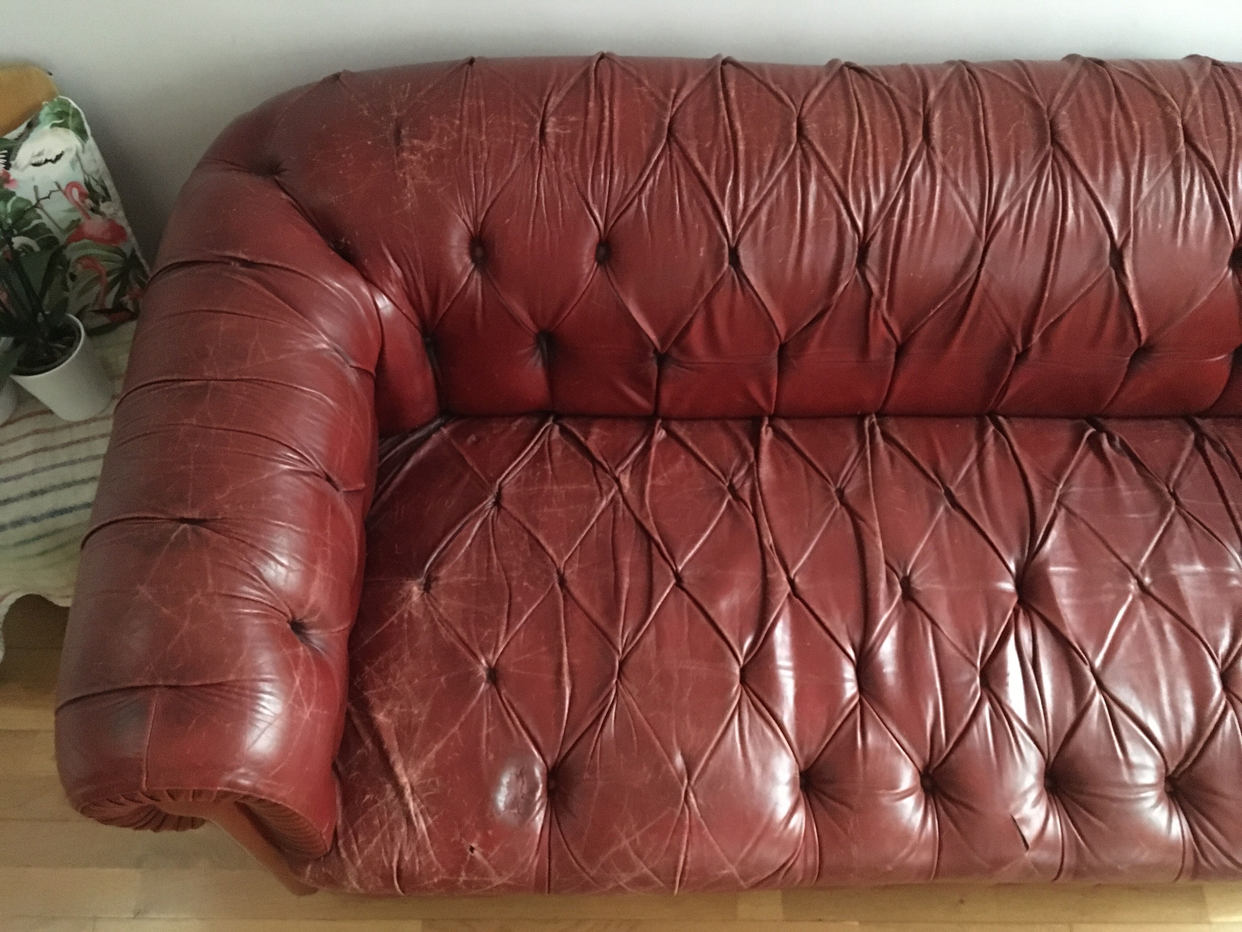 Sofa chesterfield 2-3 places leather bordeaux