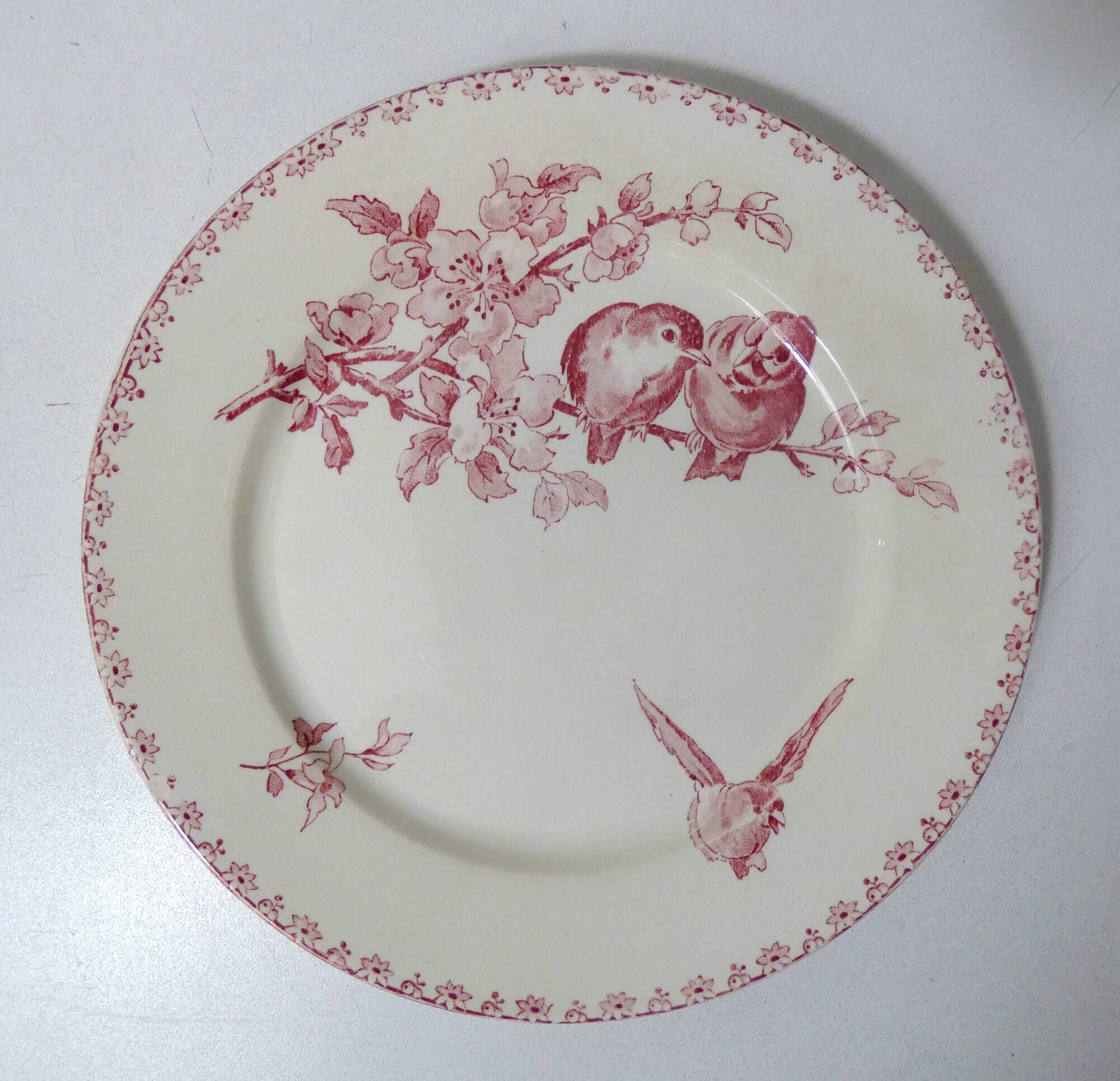 Terre de fer Digoin Sarreguemines 6 flat plates FAVORI birds model