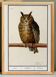 Small poster about the Eagle Owl, after an old engraving from 1610