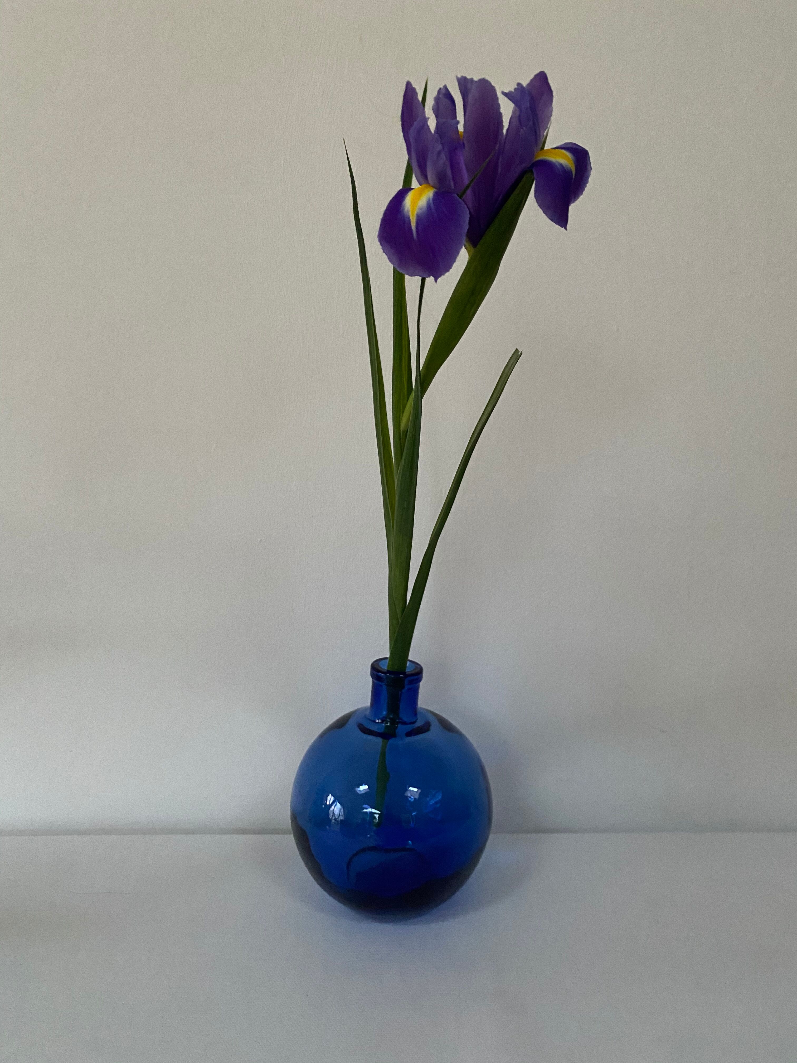 Round cobalt blue glass vase