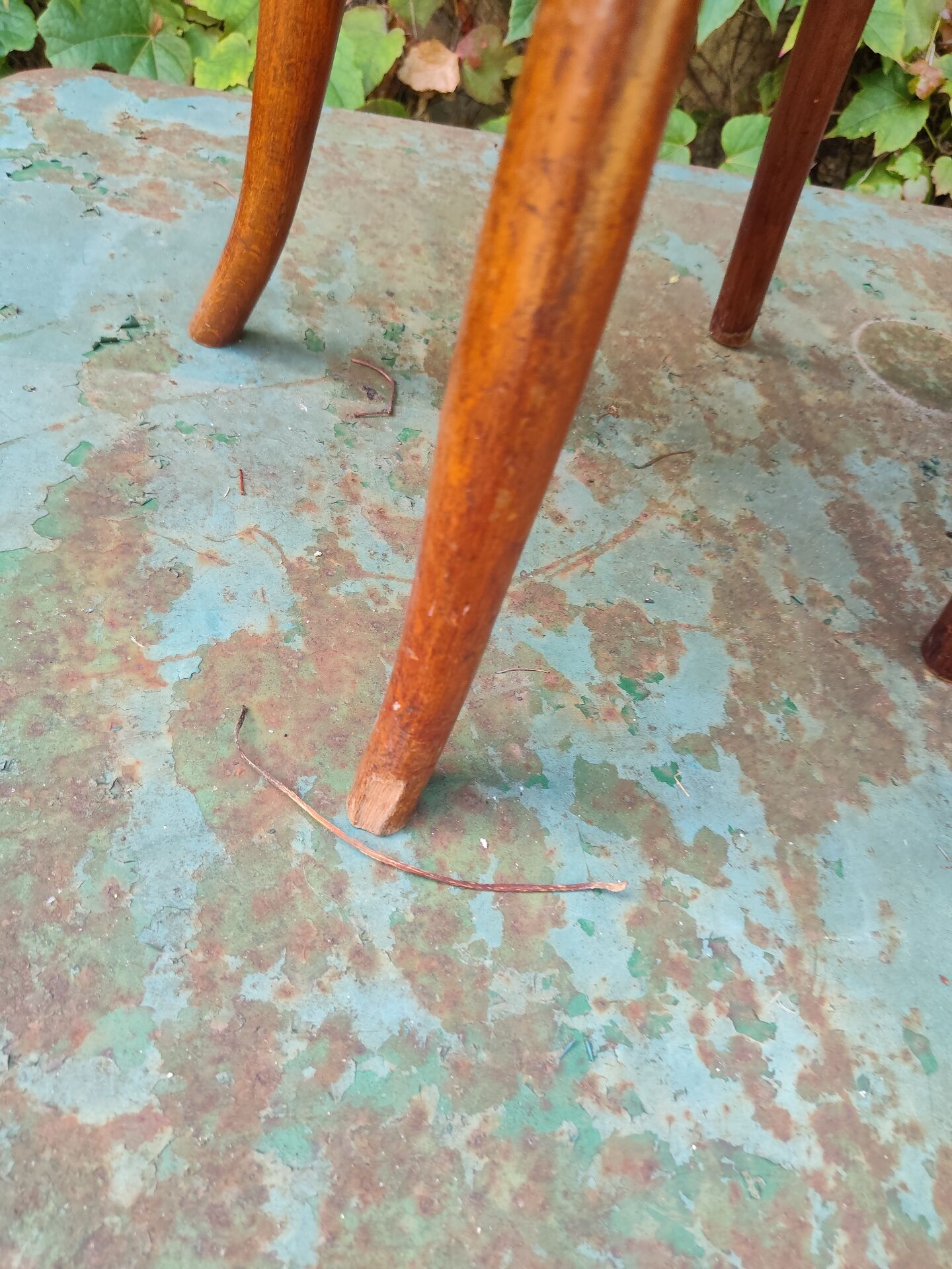 Chaise enfant 1900 Thonet