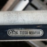 School poster of doctor Auzoux nerve tissue