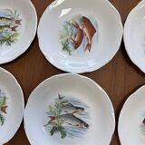 Assiettes à poisson en porcelaine