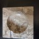Ashtray or marble pocket tray from Boulogne.