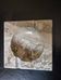 Ashtray or marble pocket tray from Boulogne.