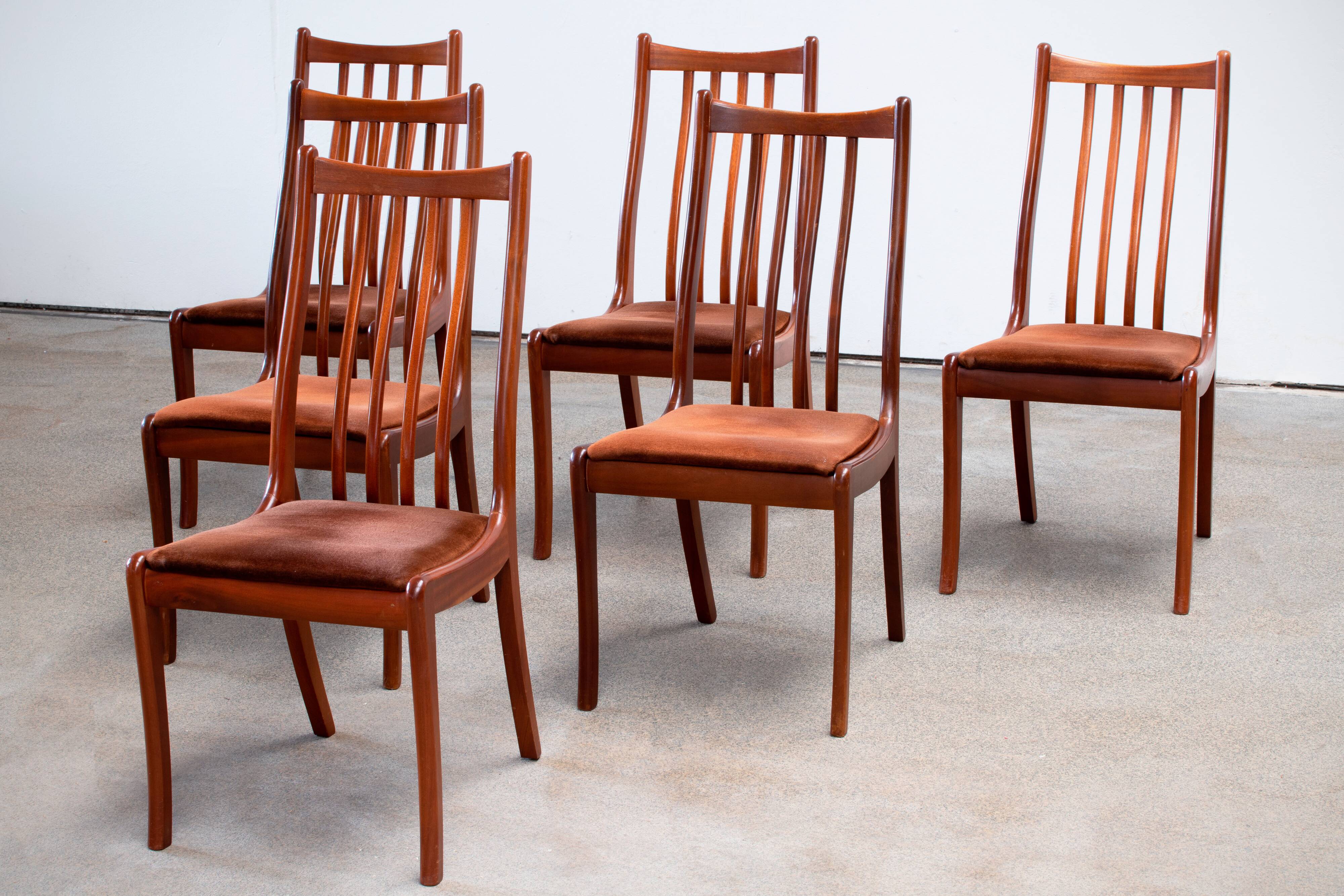 Series of 6 scandinavian chairs