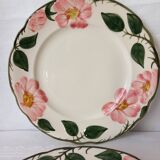 Villeroy And Boch Wild Rose Plates