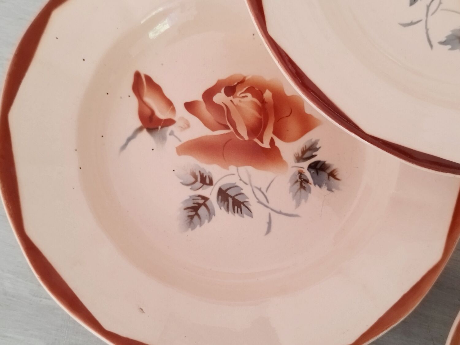 Hollow plates old earthenware Digoin Sarreguemines numbered vintage