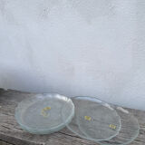 6 transparent dessert plates with a country design by Arcoroc