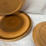 Ensemble de 5 assiettes en grès vintage