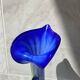 Large blown Murano glass vase with floral decoration.
