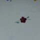 pie dish / cake Digoin Sarreguemines Mary Lou