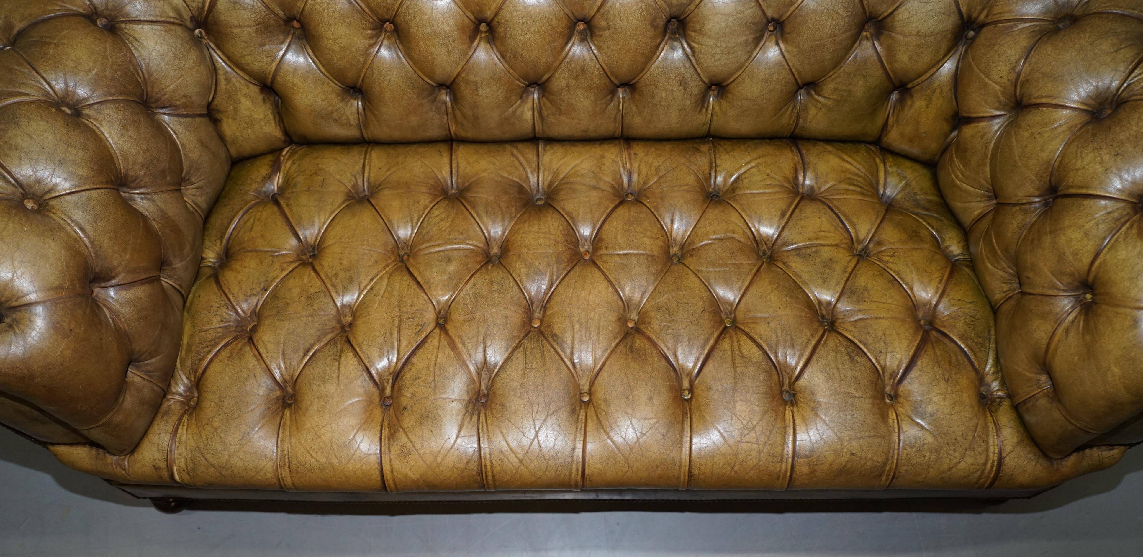 Canapé Chesterfield en cuir teint à la main, victorien rempli de crin de cheval