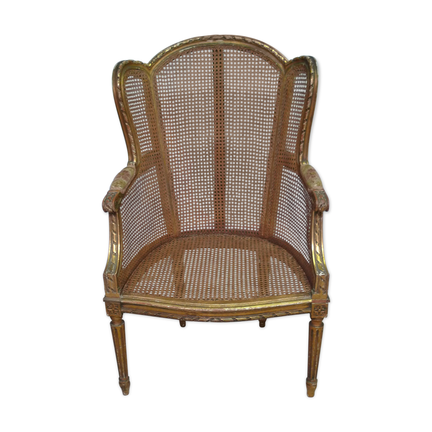 Bergere in ear canning