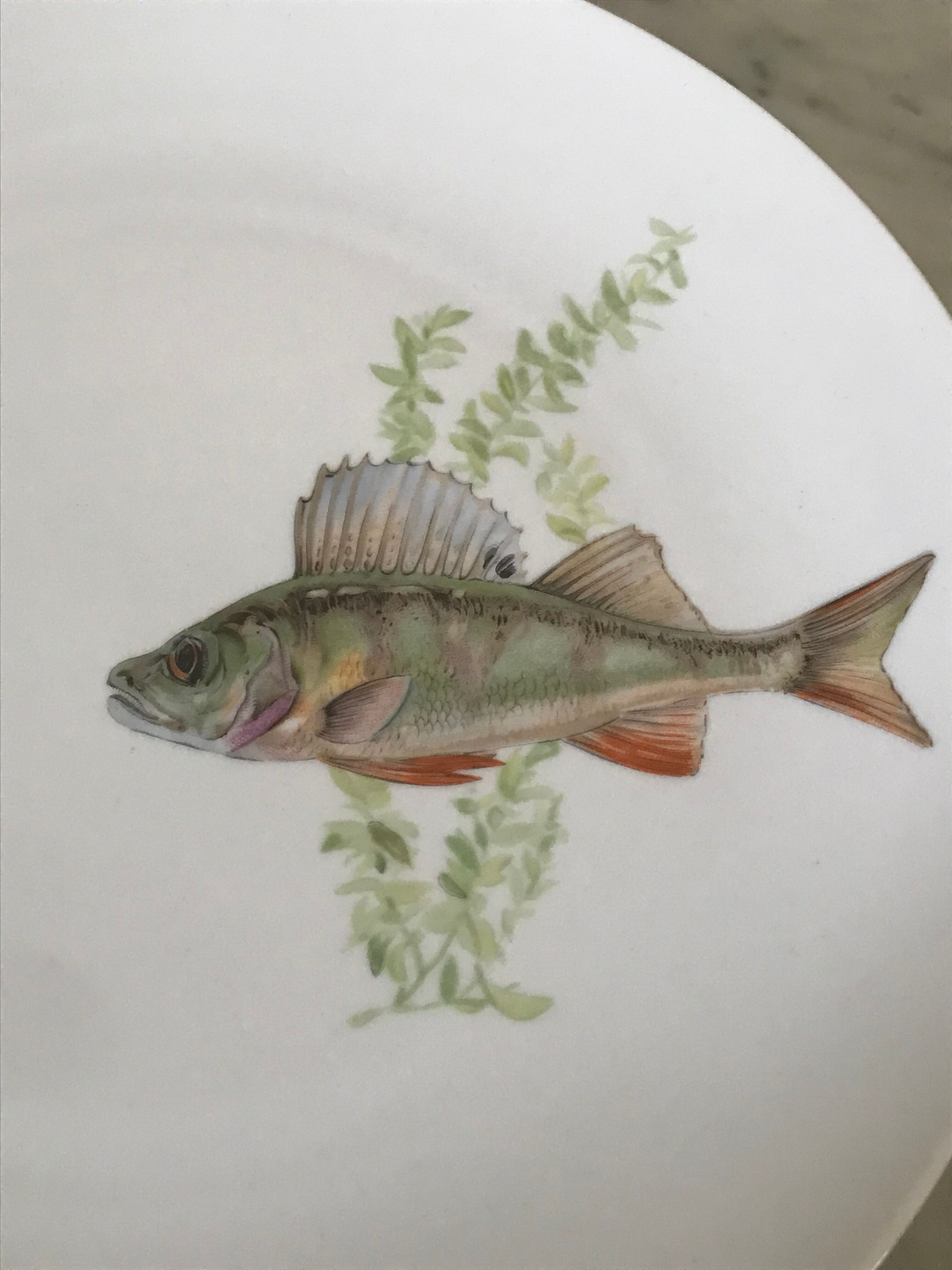 12 assiettes en porcelaine