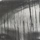 Vintage black and white photography, portrait, original framed print 42x52 cm.
