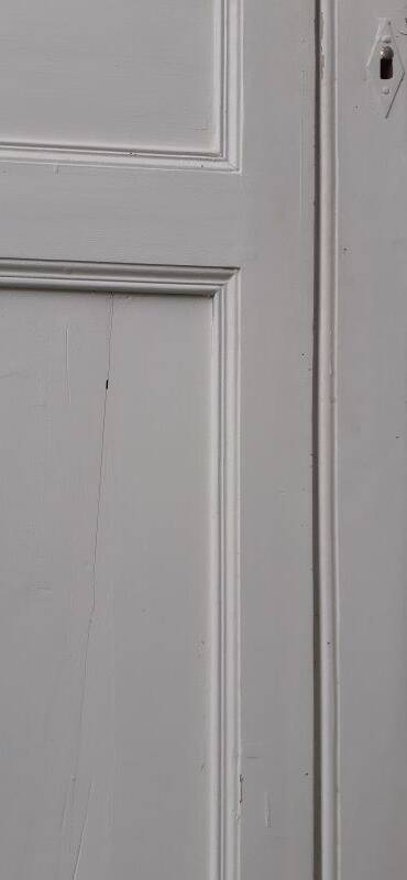 Pair of 19th-century cupboard doors and their frame (1st), woodwork