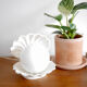 Shell lamp
