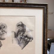 Old Engraving Nose Nasal Cavity NICOLAS HENRI Jacob Bourgery Medical Anatomy