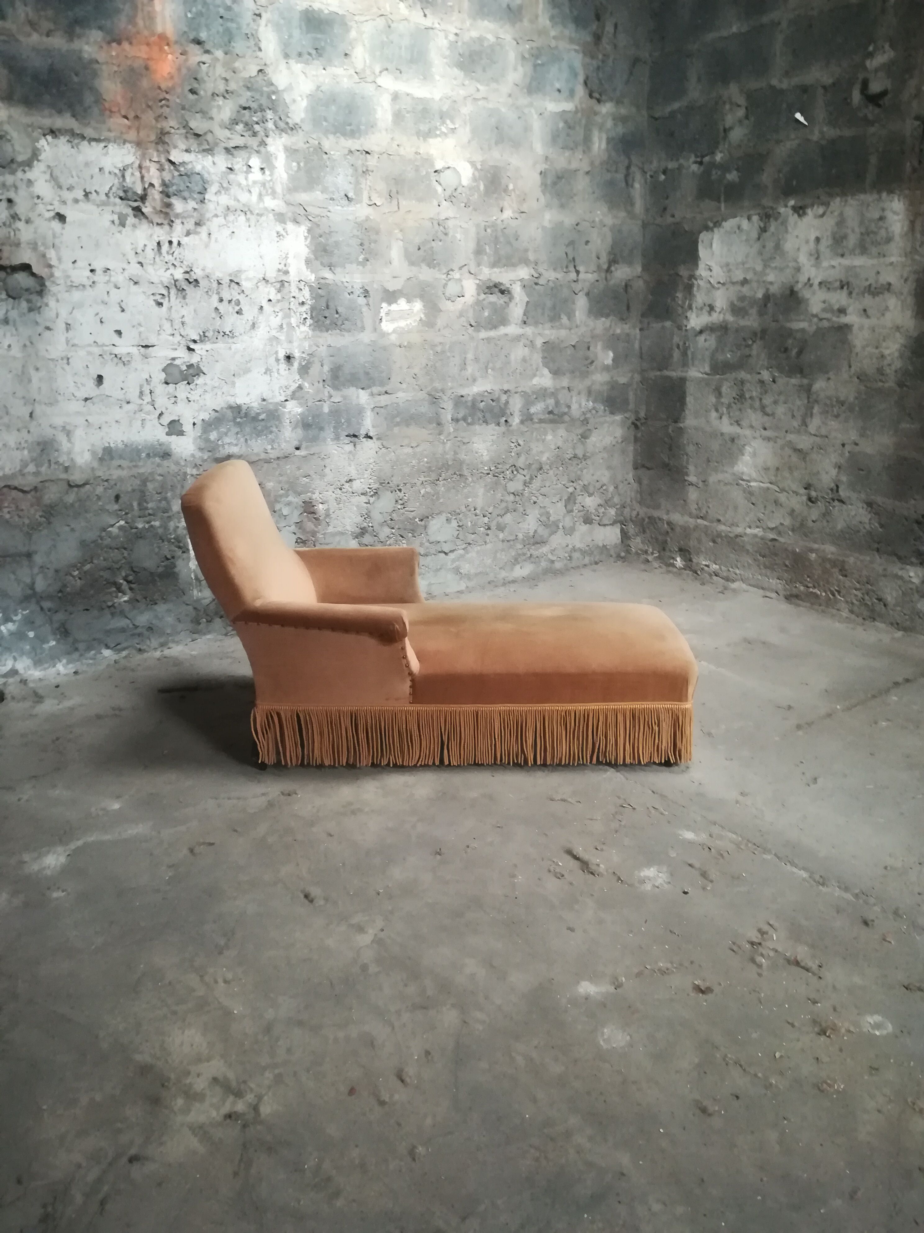 Meridian vintage toad