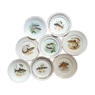 8 assiettes de poisson mélangées et assorties. vintage, Français, Porcelaine/ Chine Fine, Vaisselle dépareillée.