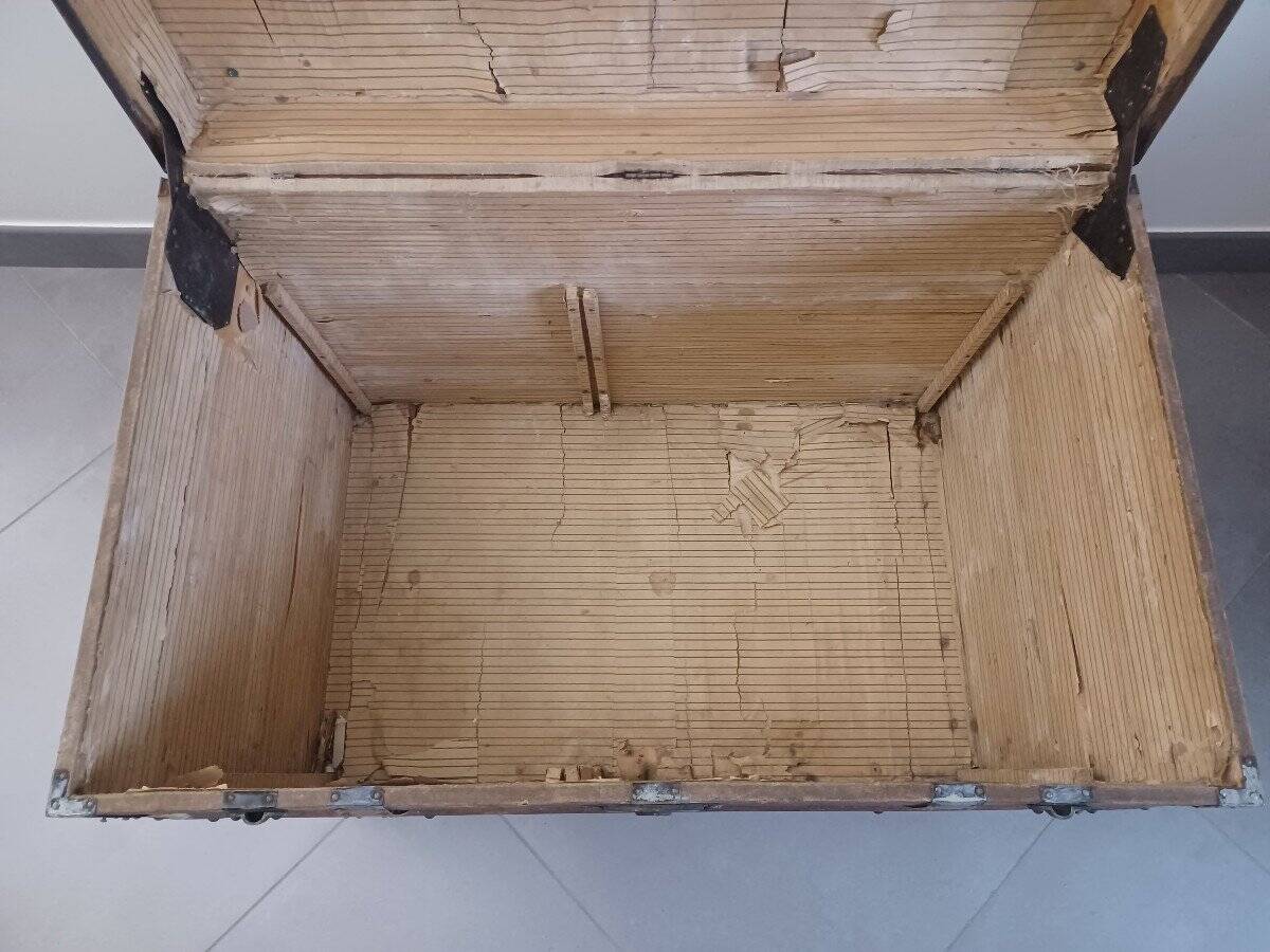 Travel trunk