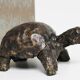 Tortue signée Closon