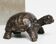 Tortue signée Closon
