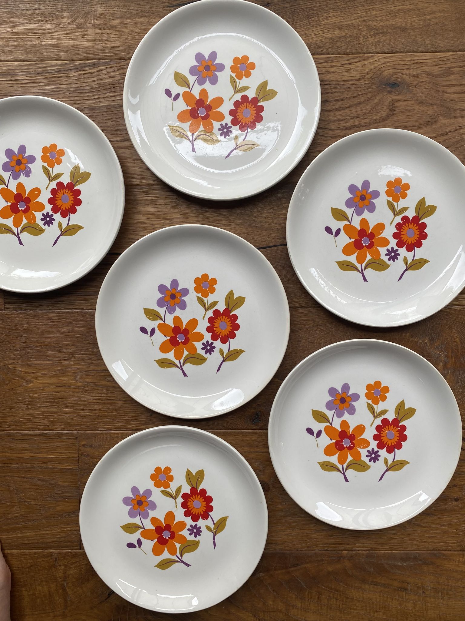 6 old flat plates in French earthenware Moulin des loups