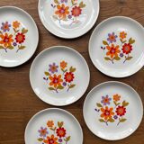 6 old flat plates in French earthenware Moulin des loups