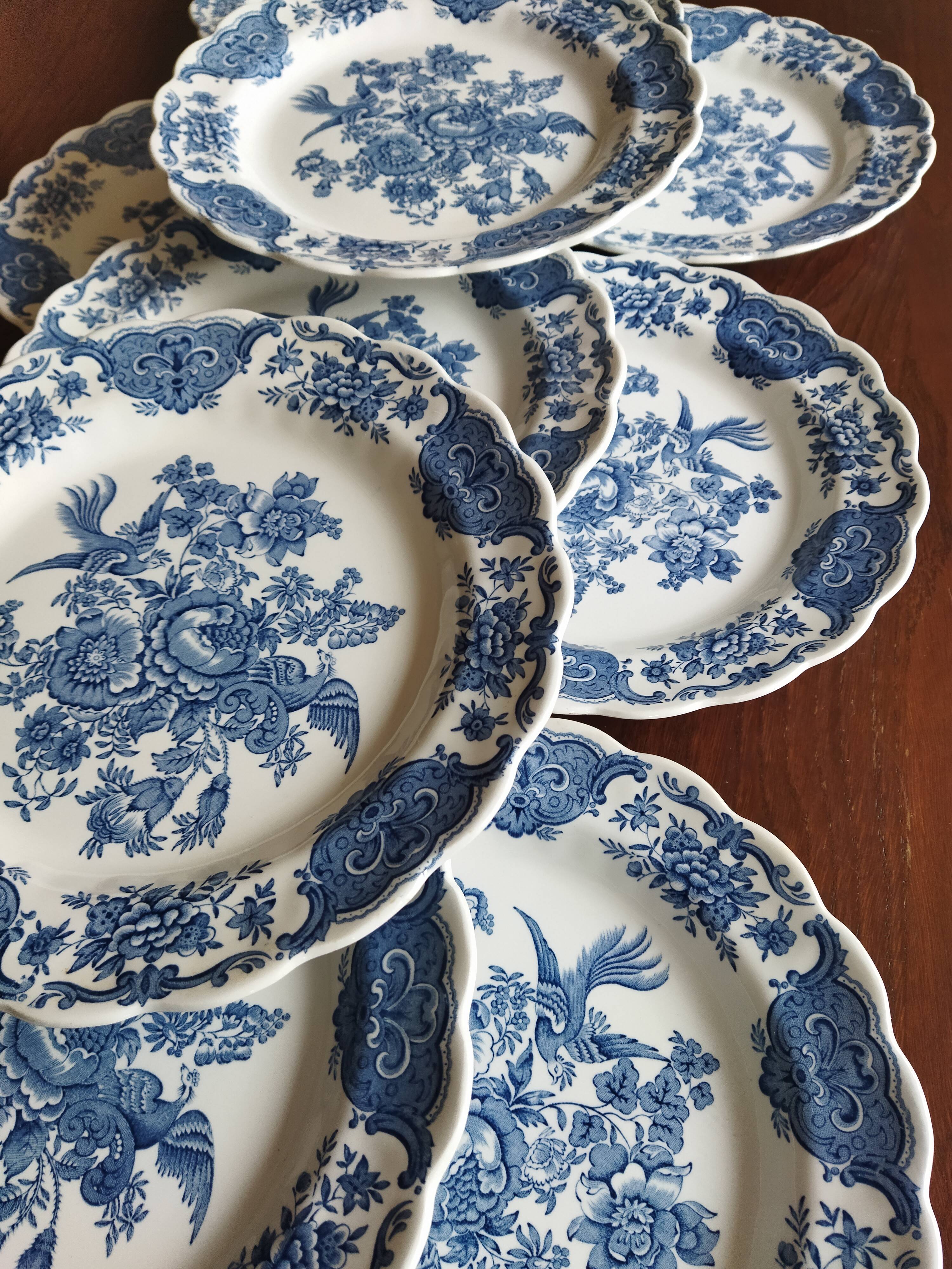 12 English dinner plates Ridgway "Windsor" ("Asiatic Pheasants") blue & white