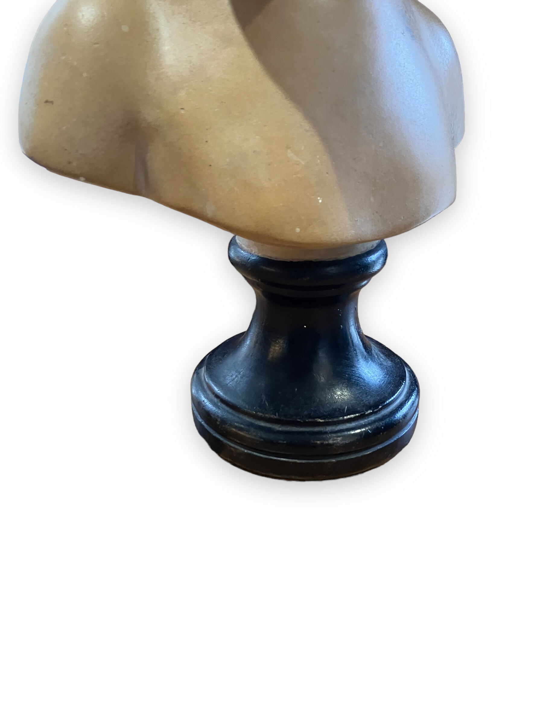 Bust of louise brongniart in patinated plaster after houdon