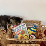 XL rattan trunk basket