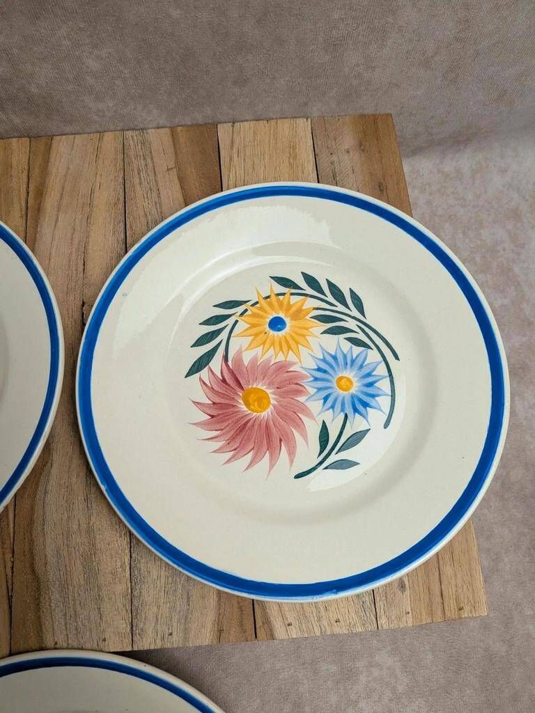 Set of 6 ironstone plates HBC – Rustic Model – Hand-painted floral design