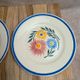 Set of 6 ironstone plates HBC – Rustic Model – Hand-painted floral design