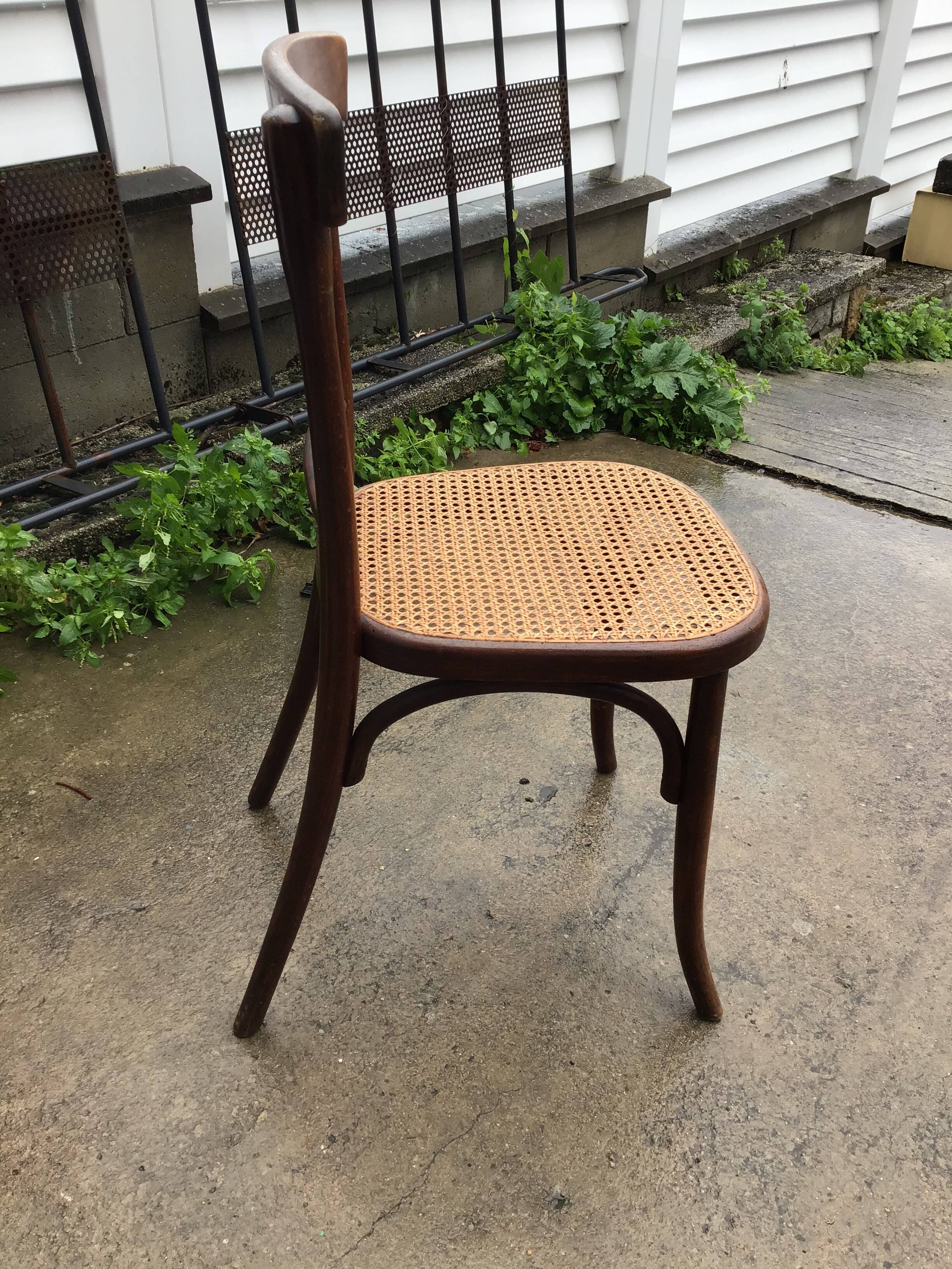 6 chaises bistrot cannées signées Fischer