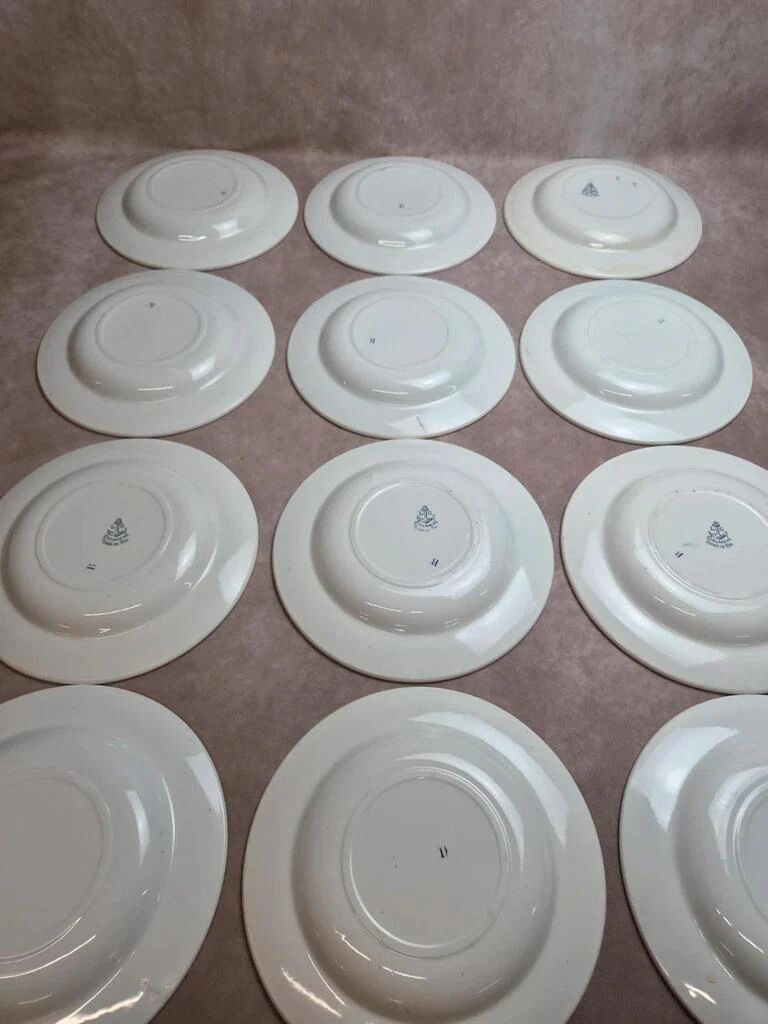 Set of 12 plates Terre de Fer Clairefontaine Cyclamens