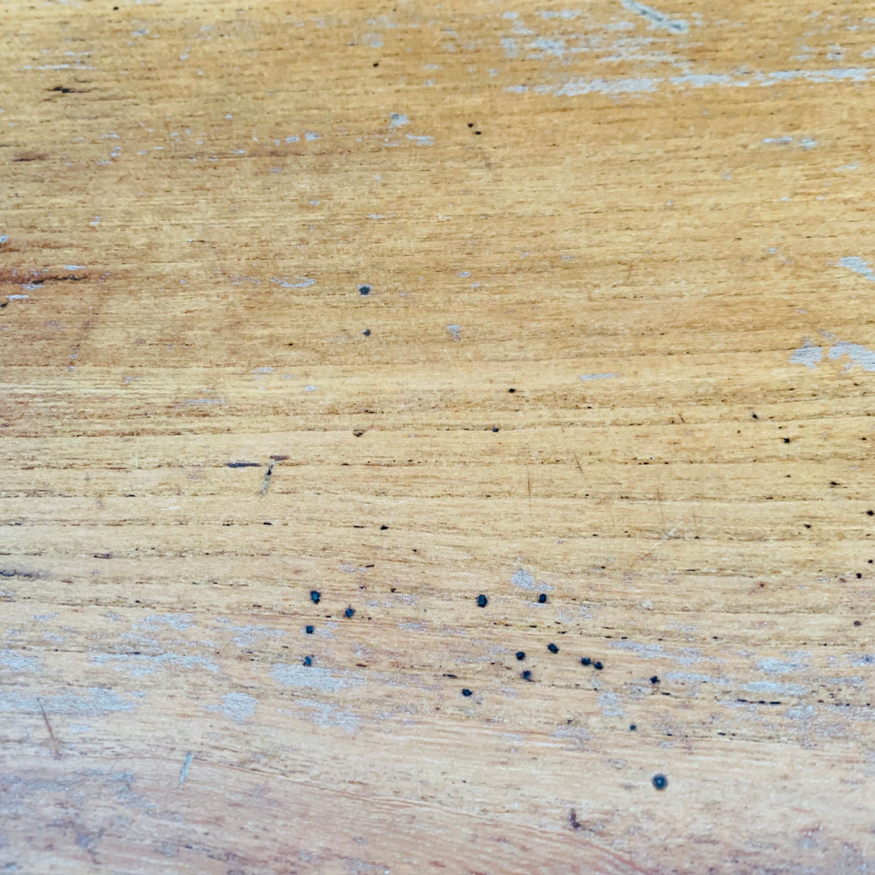 Elm table from Aranjou