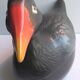 Old vintage terrine: blackened ceramic moorhen, CAUGANT production