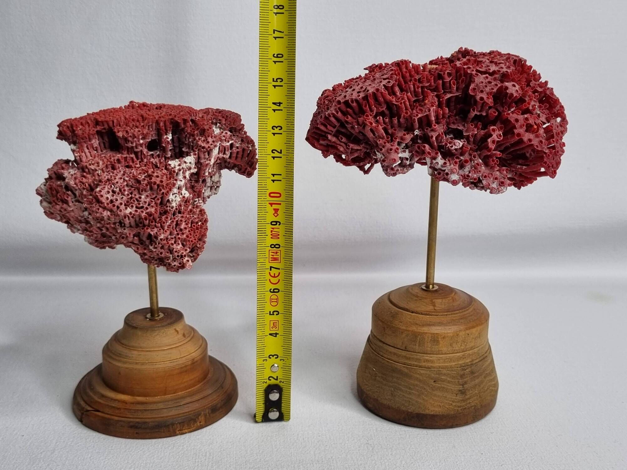 Pair of antique Tubipora musica ornamental corals on base, 17 cm