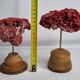 Pair of antique Tubipora musica ornamental corals on base, 17 cm