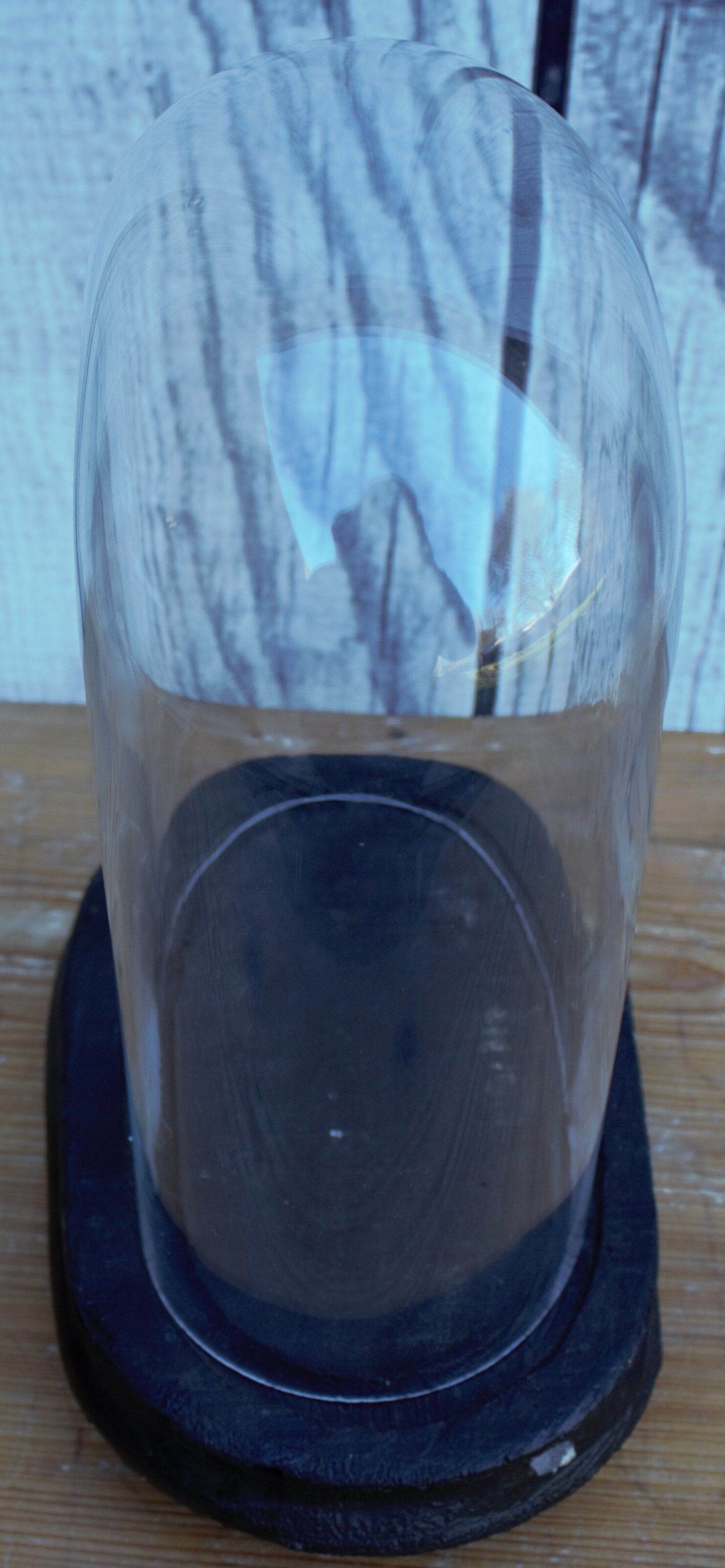 Antique wedding globe in oval glass 27 cm high