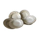 6 Digoin hollow plates - Nico Service