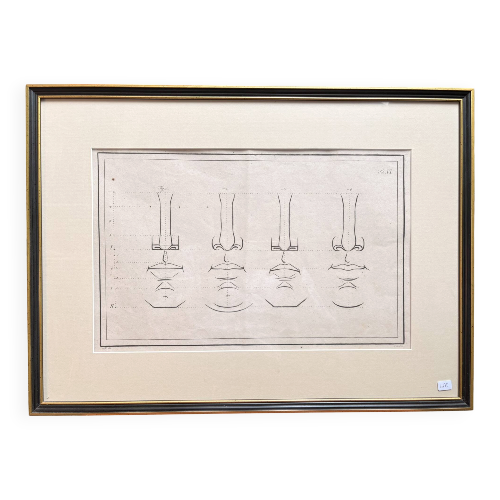 Old Print Engraving 19th Century Anatomy Nose Mouth Plate Head Morphology