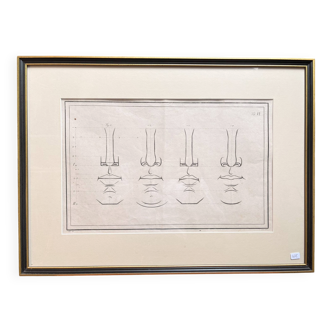 Old Print Engraving 19th Century Anatomy Nose Mouth Plate Head Morphology